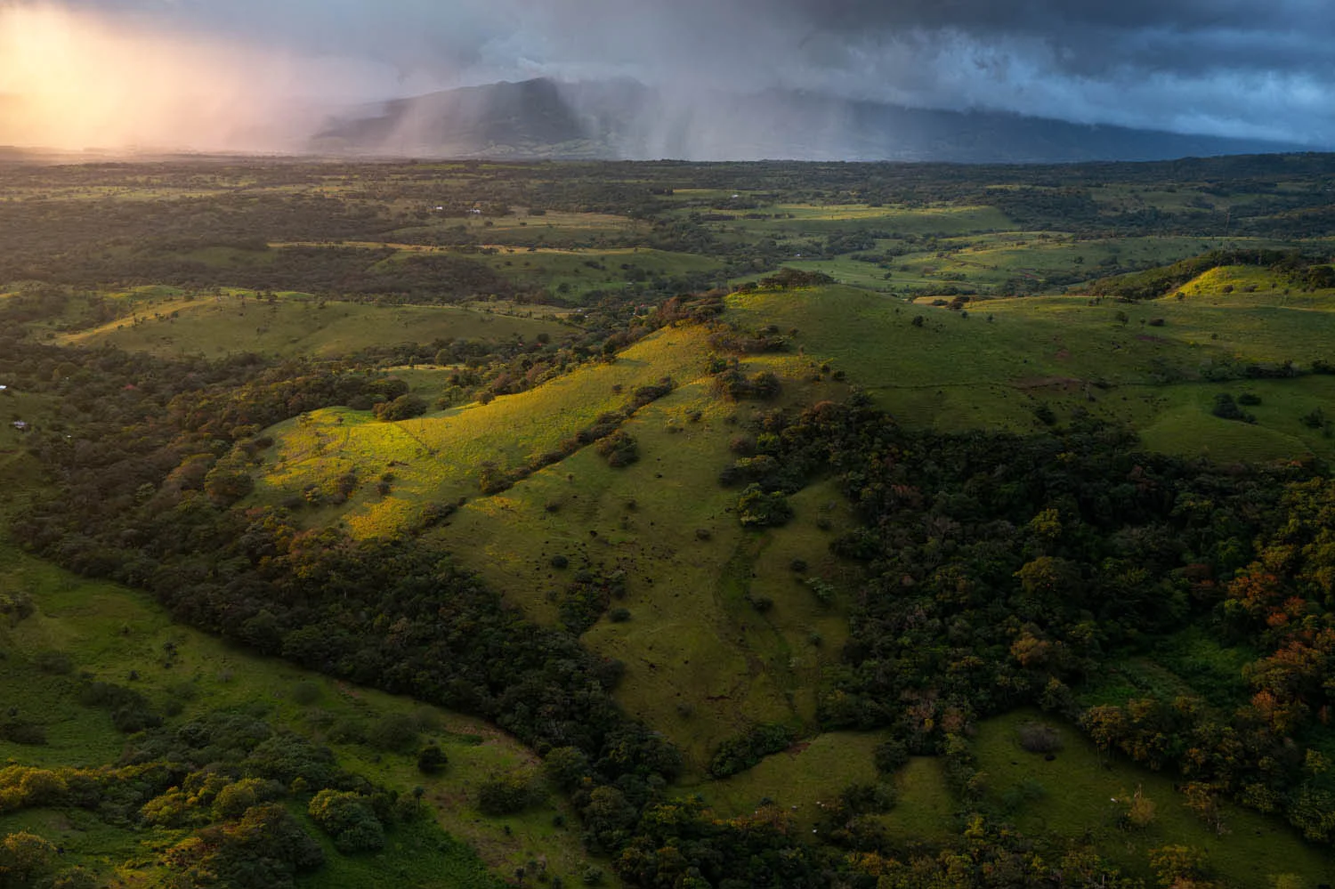 European Wildlife Photographer of the Year 2026 Kazananları Açıklandı 43 An aerial view of rolling green hills and patches of forest under a dramatic sky with sunlight breaking through rain clouds.