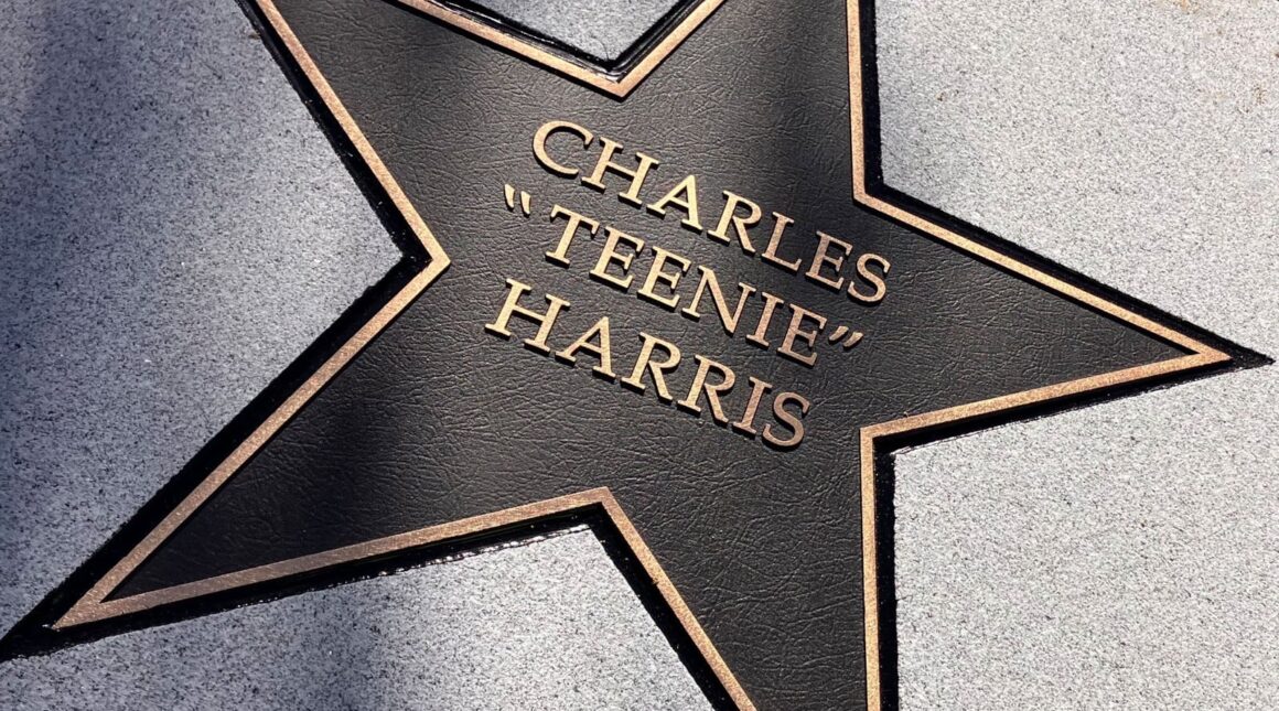 Charles “Teenie” Harris, Pittsburgh Walk of Fame’de Onurlandırıldı 19 Gri taş kaldırıma yerleştirilmiş bronz renkli yıldız üzerinde CHARLES 'TEENIE' HARRIS yazısı kazınmış halde görülüyor.