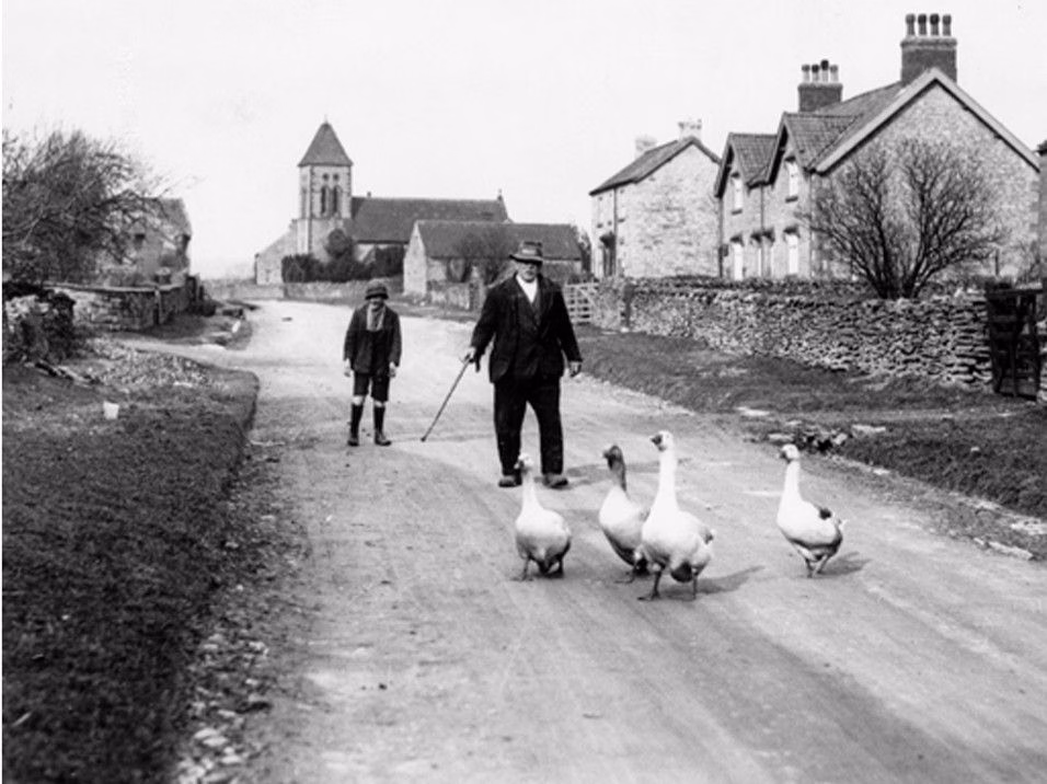 1930’ların Britanyası: Gündelik Hayatı Belgeleyen Unutulmuş Fotoğraflar 22 Dört beyaz kaz bir köy yolunda yürüyor; arkalarından bastonlu bir adam ile lastik çizmeli bir çocuk geliyor, arka planda taş evler ve kilise kulesi görülüyor.