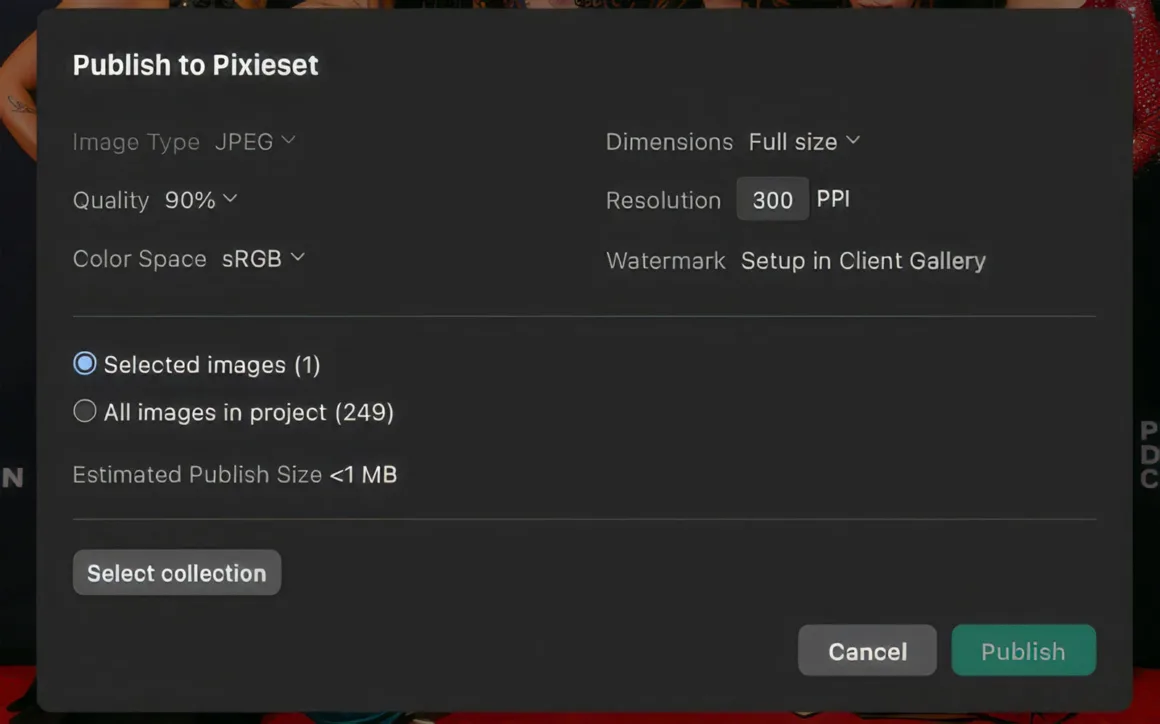 Pixieset Photo Editor: Yapay Zekâ ile Seçimden Teslime Tek İş Akışı 31 Pixieset yayımlama penceresinde JPEG dosya türü, tam boyut, yüzde 90 kalite ve 300 PPI çözünürlük ayarları görülüyor.