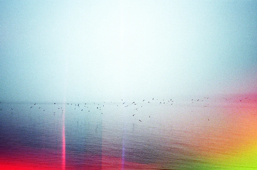 Psychedelic Blues: Analog Fotoğrafçılıkta Renk, Işık ve Rastlantının Peşinde 25 Sakin bir su yüzeyi üzerinde uçan kuş sürüsü. Fotoğrafın üzerine renkli ışık sızmaları ve film grenleri yayılmış.