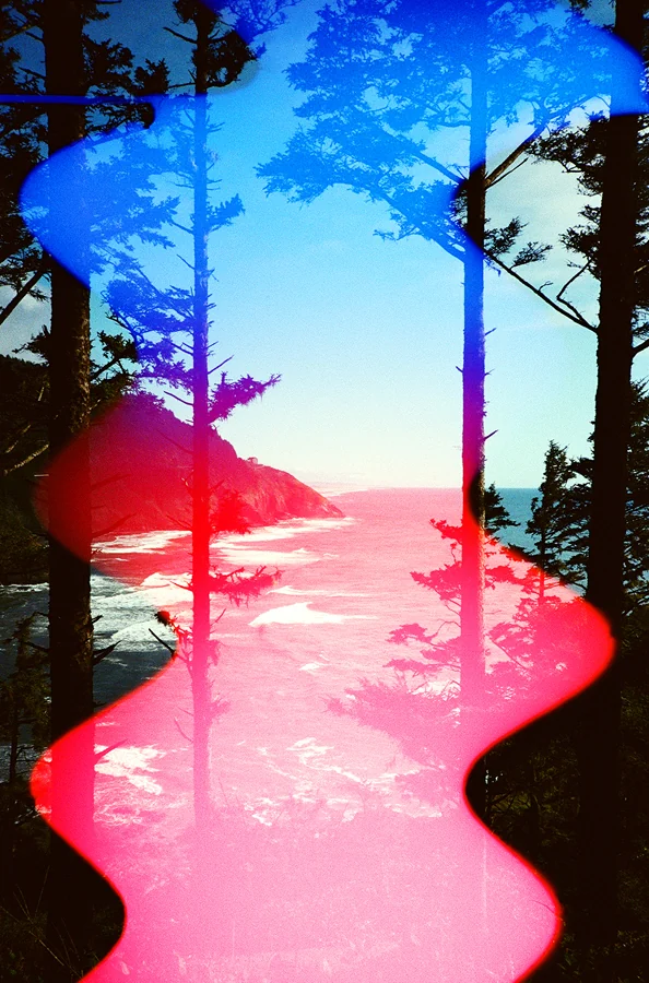 Psychedelic Blues: Analog Fotoğrafçılıkta Renk, Işık ve Rastlantının Peşinde 30 Ağaçların arasından görülen kıyı manzarası. Fotoğrafın ortasında dikey olarak ilerleyen mavi ve pembe tonlarda dalgalı ışık efekti bulunuyor.