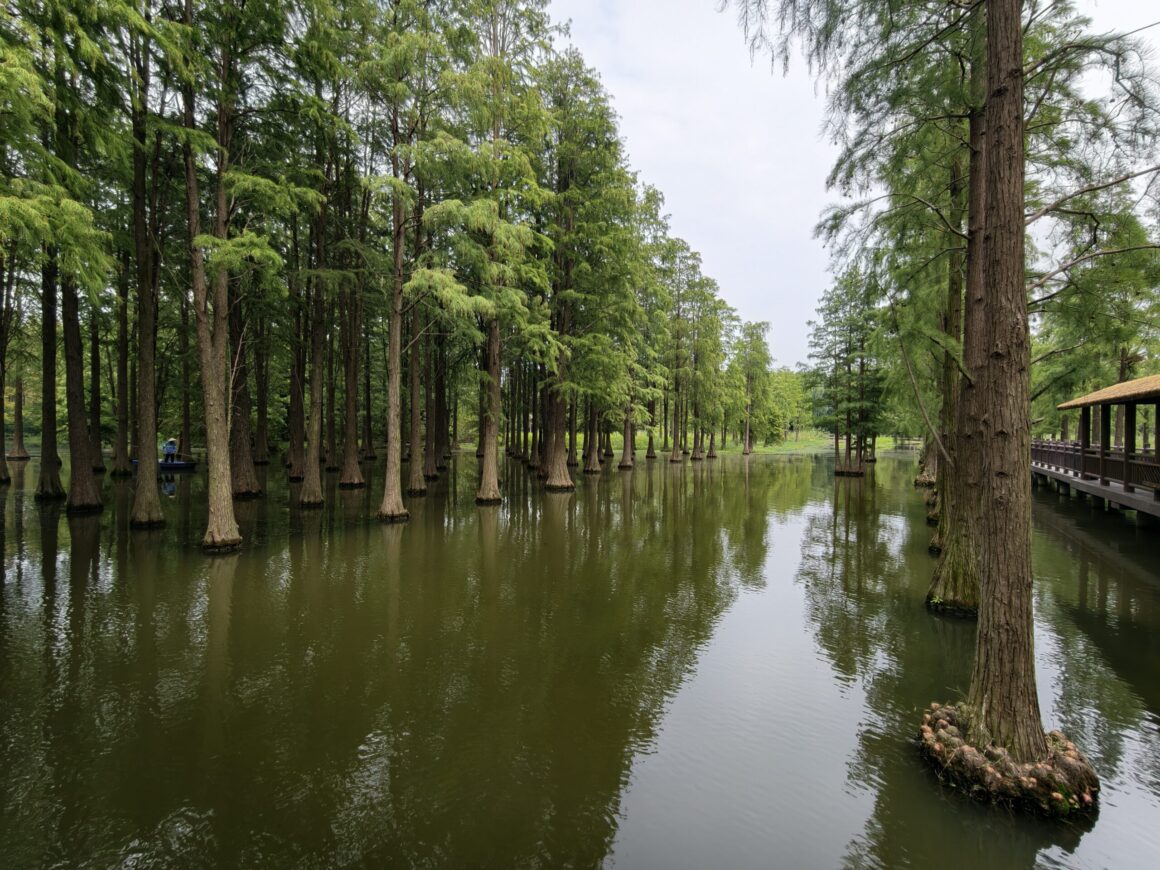 Vivo X500 Pro Max ultrawide camera samples 15mm 002