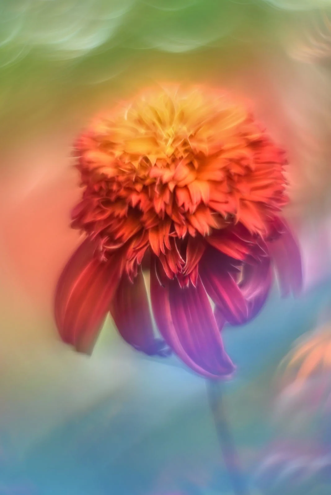 Lensbaby Omni Color II ve Omni Crystal II ile Çekim Sırasında Yaratıcı Efektler 21 A vibrant, orange and red dahlia flower with a soft, dreamy, and painterly blur effect against a pastel-colored background.