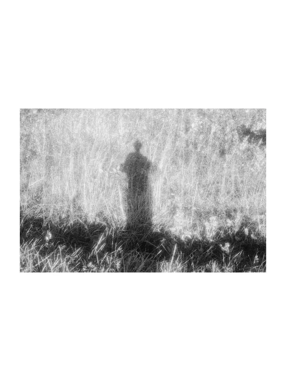 MARS: iPhone’a Analog Film Hissi Getiren Siyah-Beyaz Kamera Uygulaması 25 A dark, human-shaped silhouette stands in the center of a field of tall, textured grass.