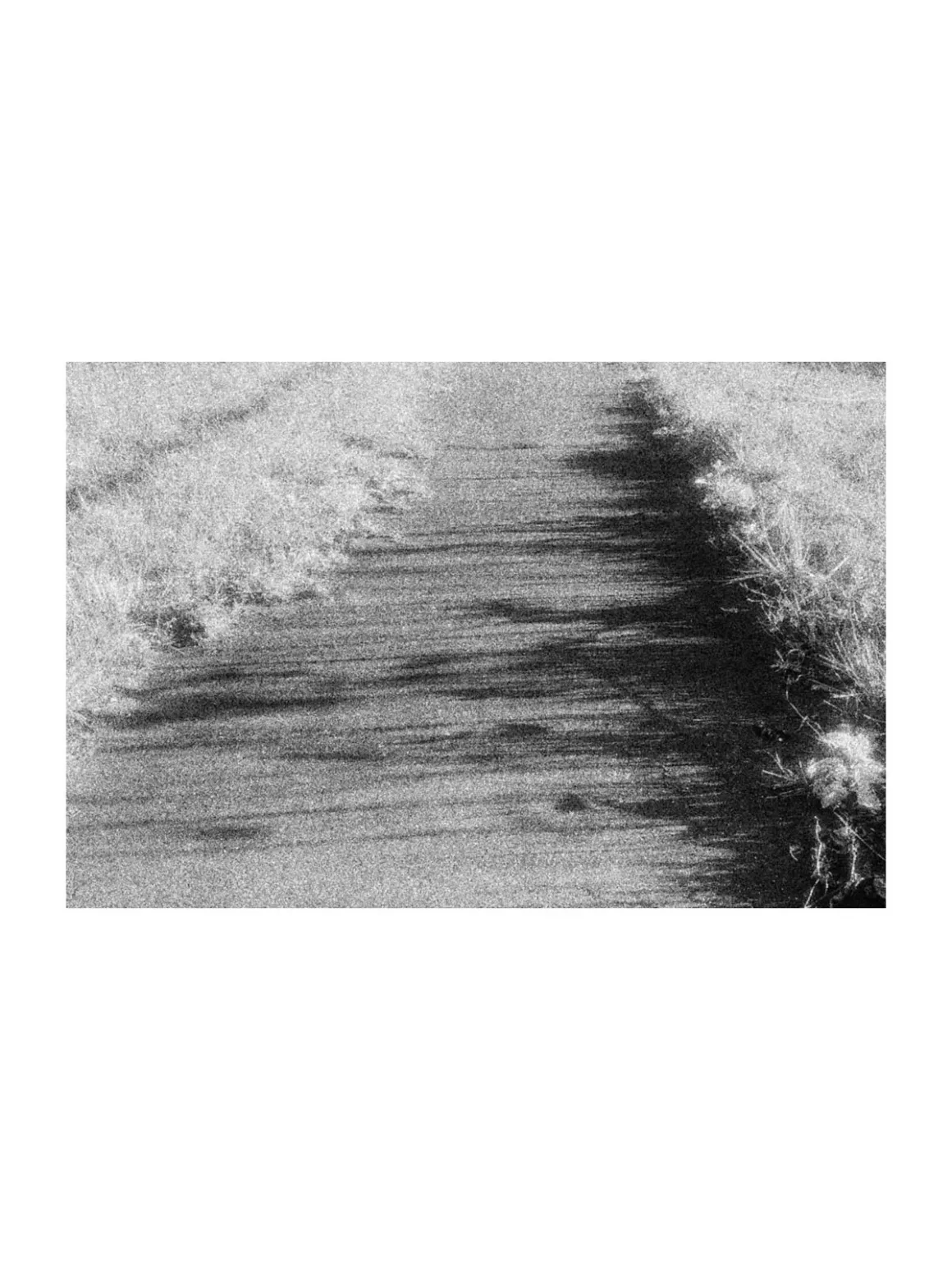 MARS: iPhone’a Analog Film Hissi Getiren Siyah-Beyaz Kamera Uygulaması 26 A high-contrast, grainy black and white view of a path flanked by tall grass, with long shadows stretching across the ground.