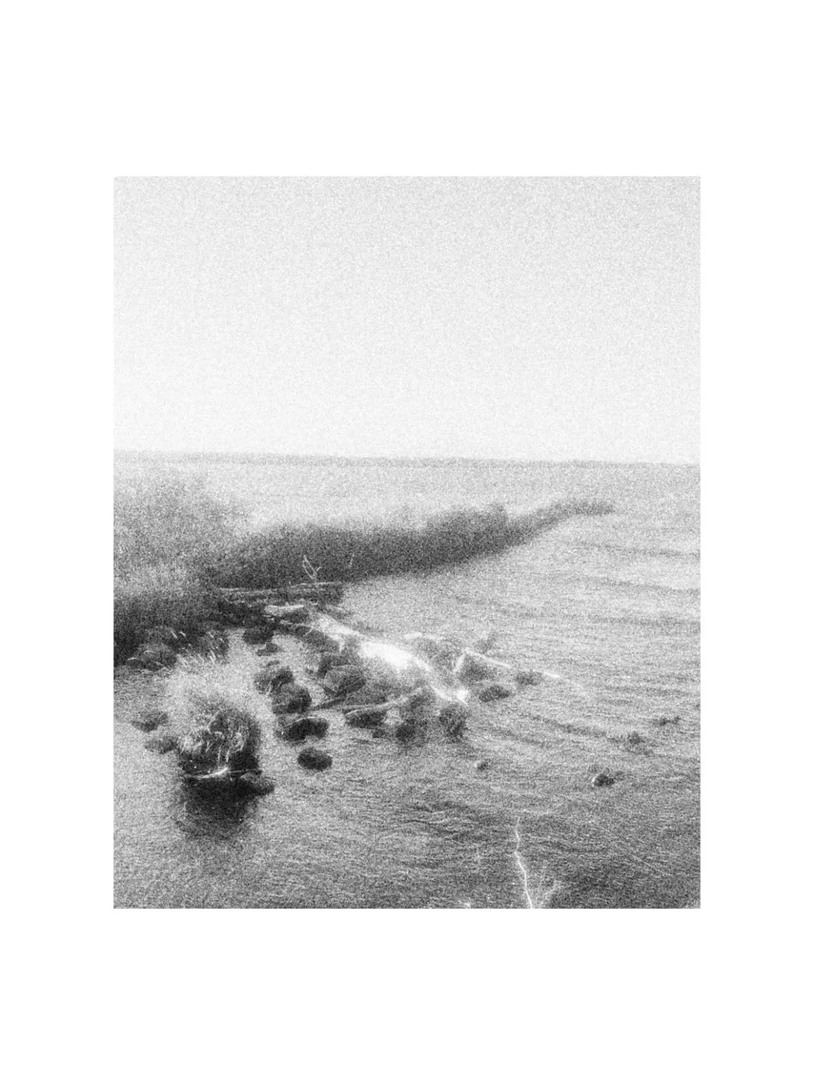 MARS: iPhone’a Analog Film Hissi Getiren Siyah-Beyaz Kamera Uygulaması 27 A grainy, black-and-white view of a shoreline with rocks, driftwood, and tall grasses meeting a body of water.