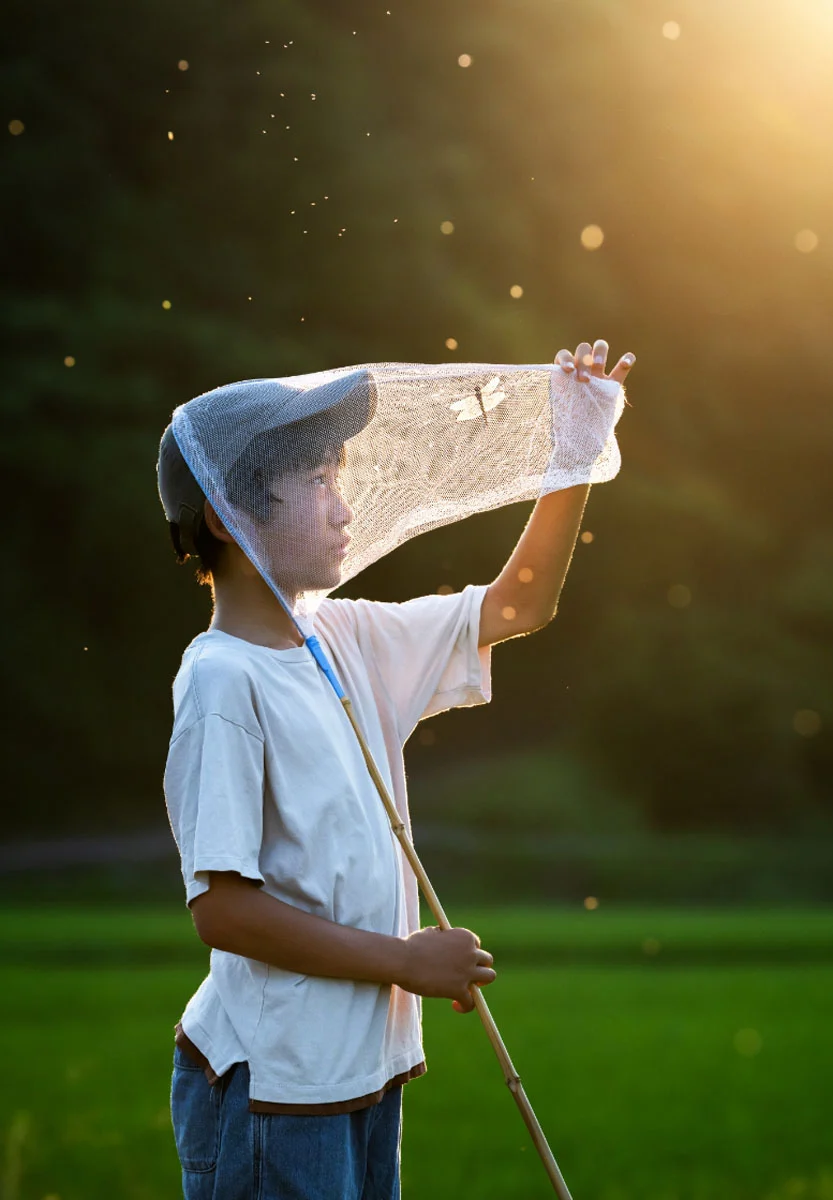 74. Nikkor Photo Contest Kazananları Açıklandı 22 A young boy in a t-shirt and cap holds a net containing a dragonfly against a sunlit, grassy background.