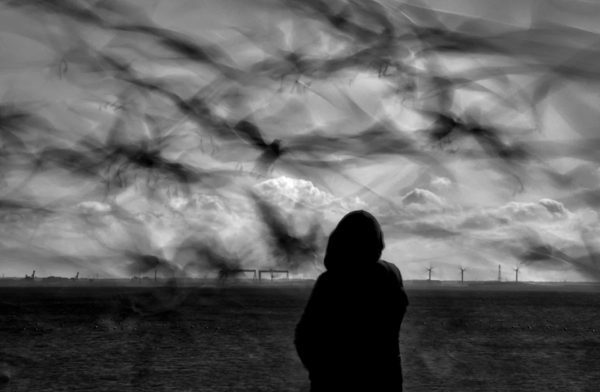 74. Nikkor Photo Contest Kazananları Açıklandı 24 A silhouetted figure stands facing a body of water under a sky filled with the blurred, overlapping motion of flying birds.