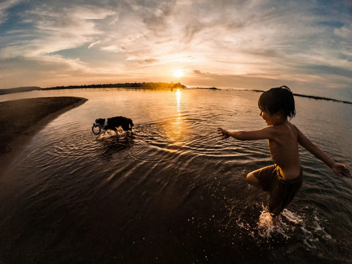 74. Nikkor Photo Contest Kazananları Açıklandı 21 Bir çocuk gün batımında, ağzında mavi halka oyuncak taşıyan köpeğe doğru sığ suda koşuyor.