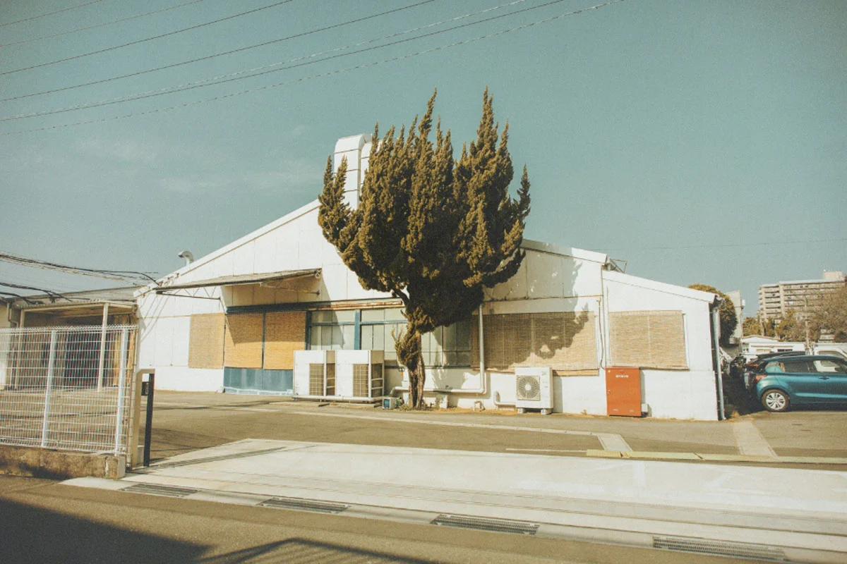 74. Nikkor Photo Contest Kazananları Açıklandı 38 A white industrial building with a large evergreen tree in front, featuring bamboo blinds over windows, outdoor air conditioning units, and a blue car parked on the right.