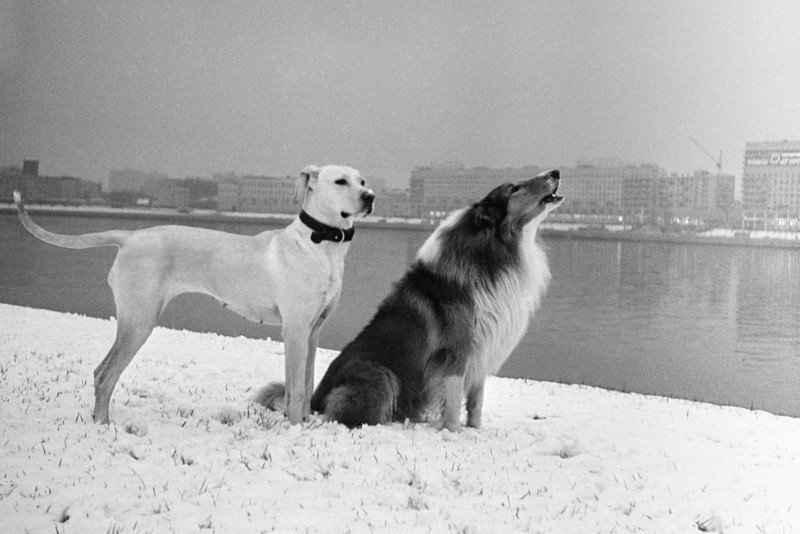 "Rus Vivian Maier" Bulundu! 20 "Rus Vivian Maier" Bulundu! 20