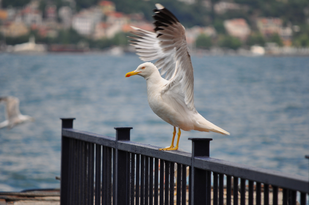 Enstantane Nedir ve Fotoğrafı Nasıl Etkiler? 3 Enstantane Nedir ve Fotoğrafı Nasıl Etkiler? 3