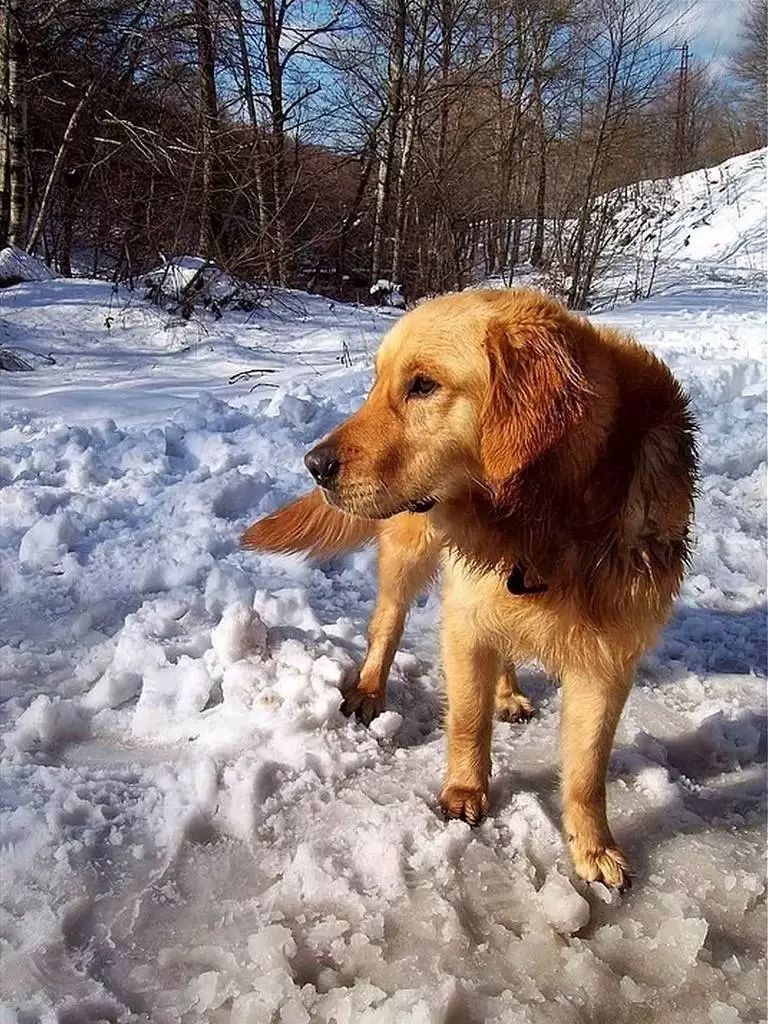 Kar Fotoğrafı Nasıl Çekilir? 3 Kar Fotoğrafı Nasıl Çekilir? 2