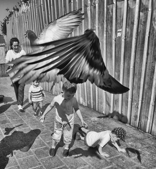 Fotoğrafta Kompozisyon Öğeleri: Perspektif 6 Fotoğrafta Kompozisyon Öğeleri: Perspektif 6