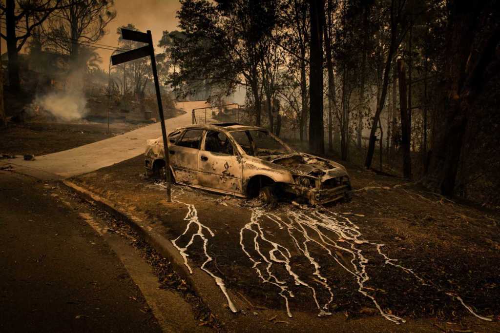 2020 World Press Photo Kazananları 15 2020 World Press Photo Kazananları 14