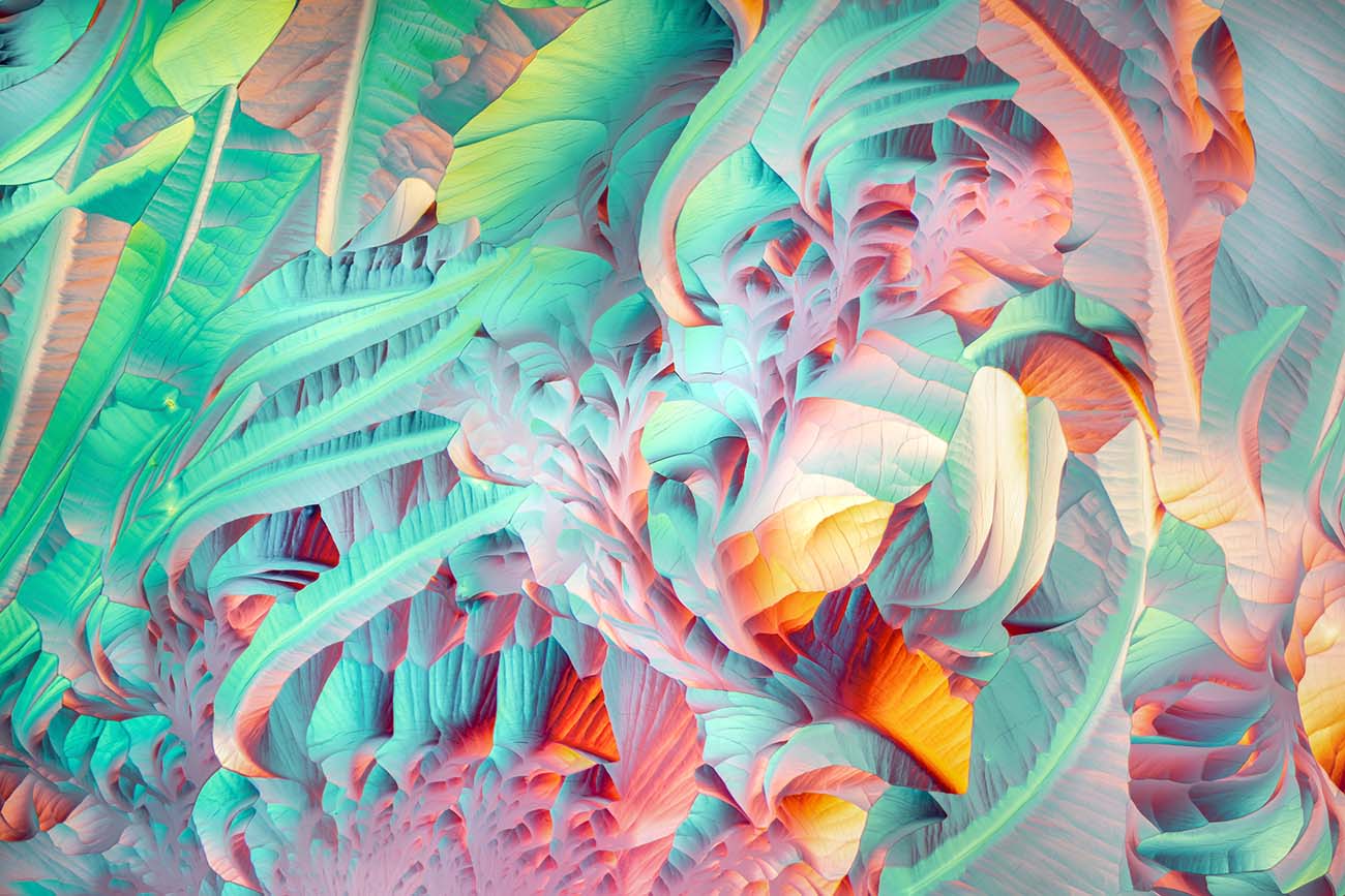 2020 nikon small world header